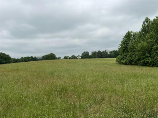 10.35 ACRES MT UNION CHURCH ROAD, SMITHS GROVE, KY 42171, photo 3 of 6