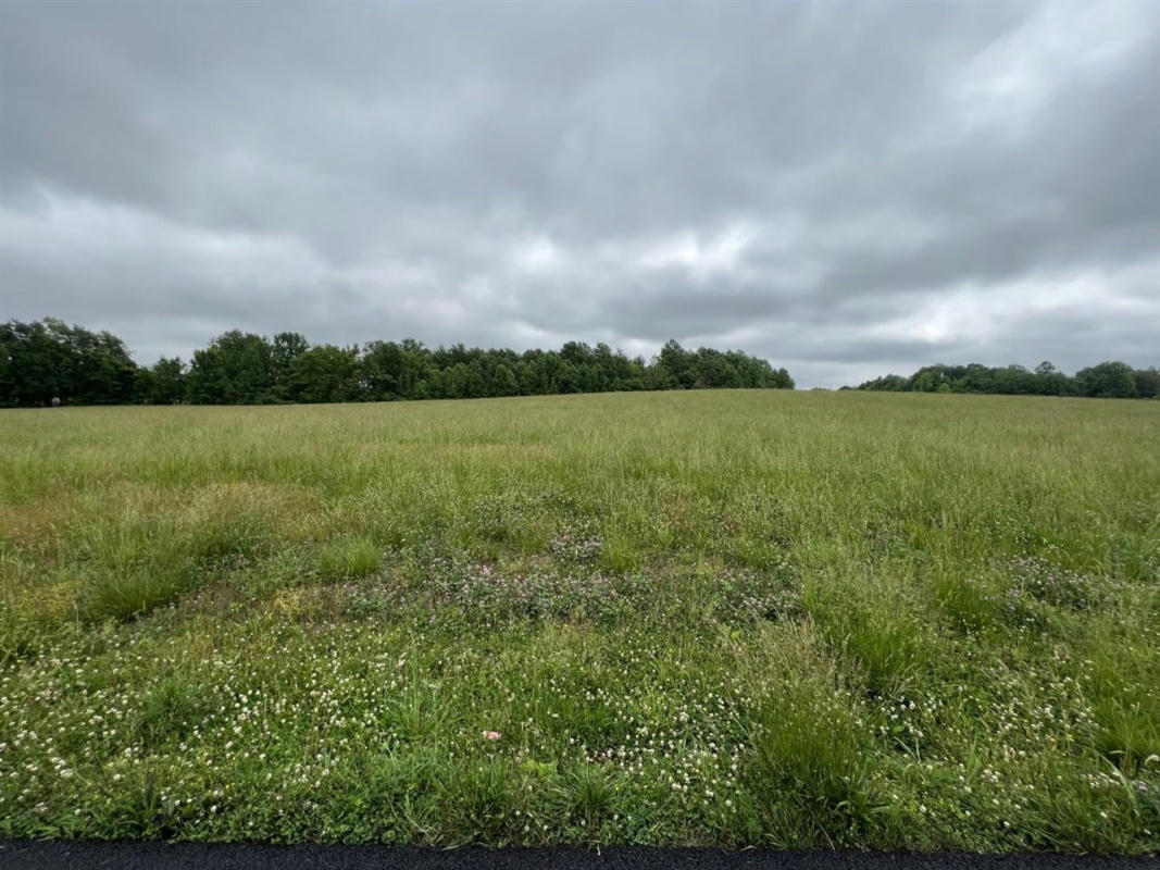 35.01 ACRES MT UNION CHURCH ROAD, SMITHS GROVE, KY 42171, photo 1 of 19