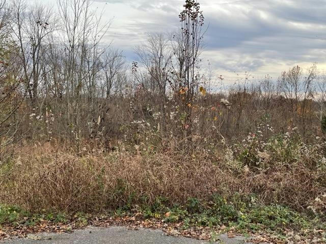LOT 30 MAGNOLIA DRIVE, CENTRAL CITY, KY 42330, photo 1 of 2